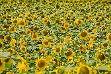 《潜行者2》Mod工具包含所有必要功能 大家能为所欲为